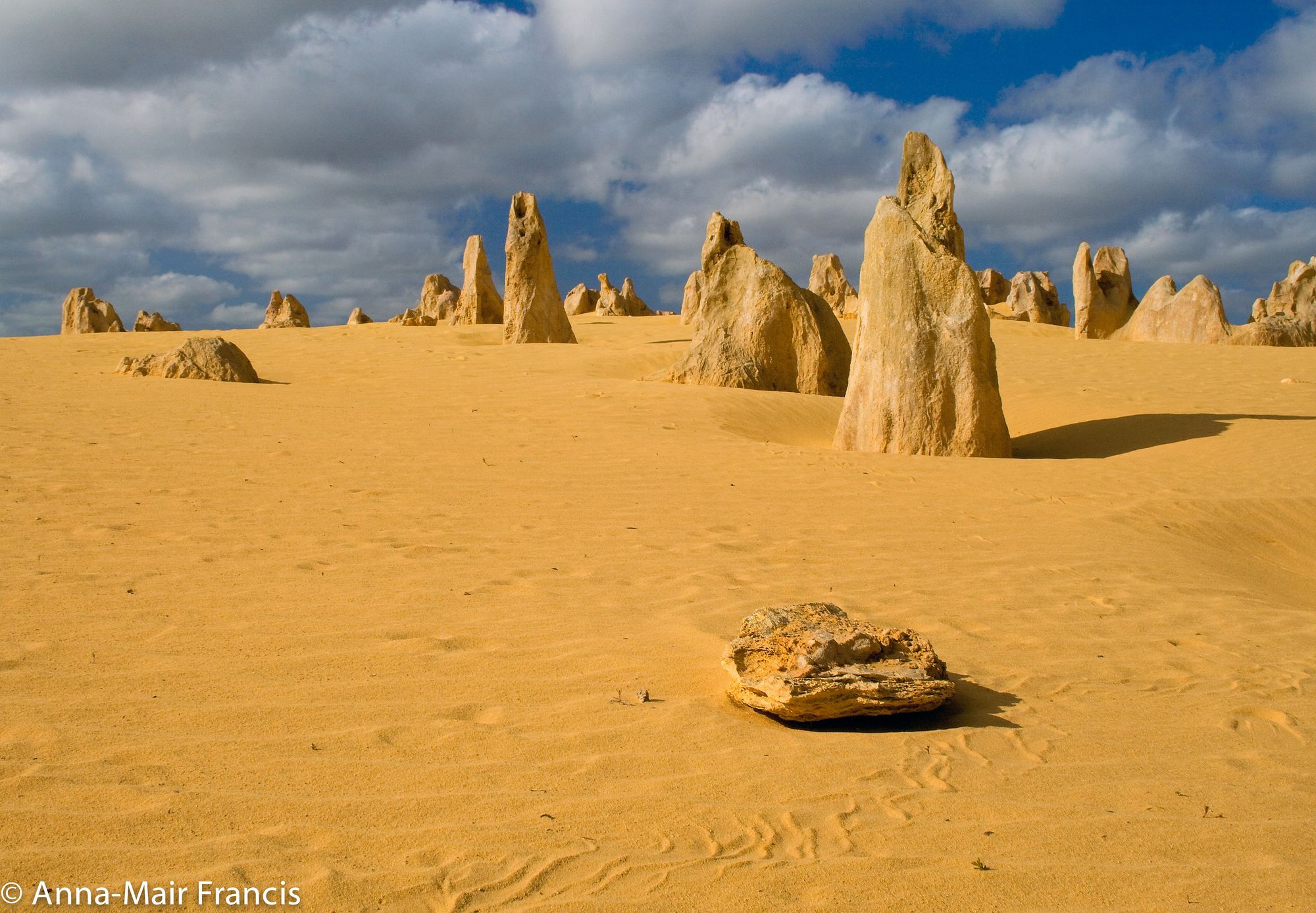 Pinnacles, Sea and Dune scapes, Bush reserves and Sunset Day Tour