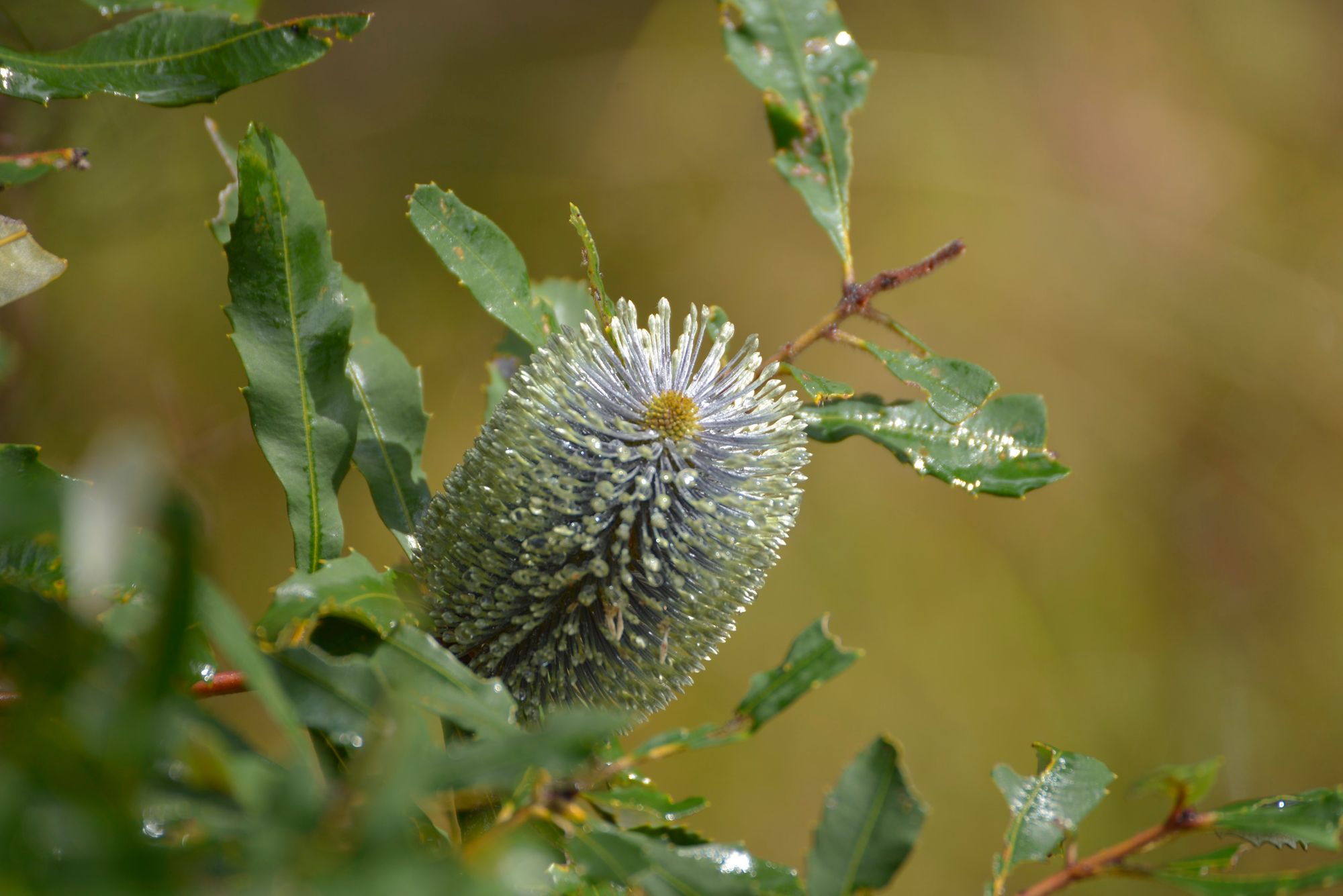 2 Hours Private Photography Tuition in Brisbane