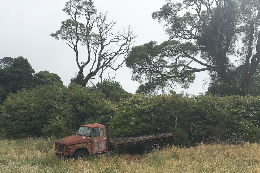 Southern Highlands NSW Photography course| Focus10 | 7hrs