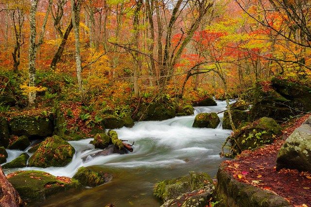 Japan in Autumn - October Photography Tour