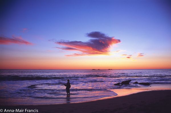 Photographing Australian animals, seascapes and sunsets