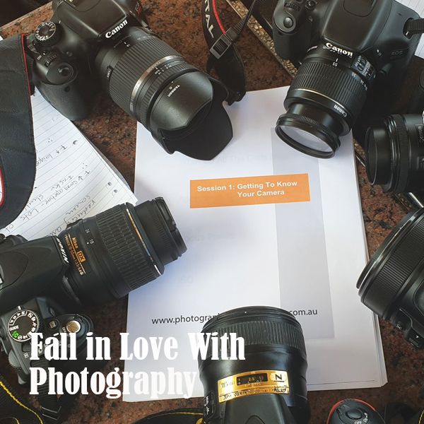 Fall In Love With Photography (Darwin)