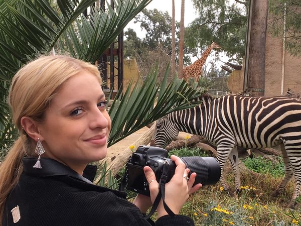 Wildlife Photography Course | Melbourne Zoo | 4hrs
