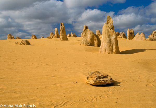 Pinnacles, Sea and Dune scapes, Bush reserves and Sunset Day Tour