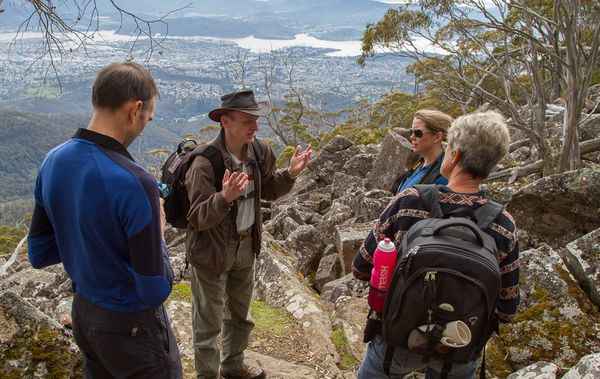 Private Photography Walkabout - Wellington Wanders 'Chalet to Organ Pipes’