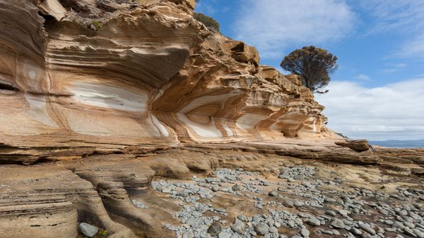 Maria Island National Park - Premium Private Photo-oriented Day Tour