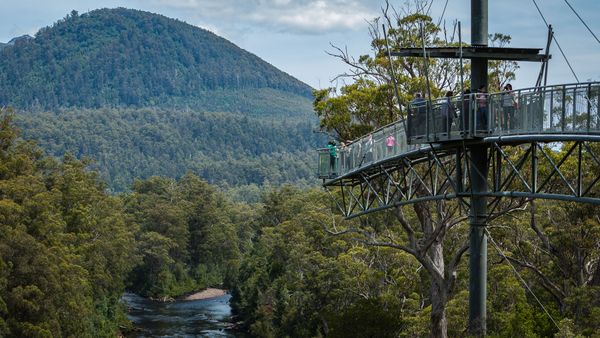 Hartz Mountains National Park and Tahune Airwalk and Forest - Premium Private Photo-oriented Day Tour